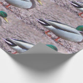 Mallard Duck Foto Geschenkpapier (Ecke)