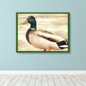 Mallard Duck Foto Leinwanddruck (Insitu (Holzboden))