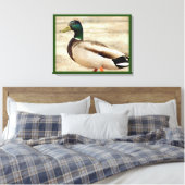 Mallard Duck Foto Leinwanddruck (Insitu (Schlafzimmer))