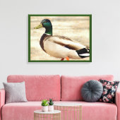 Mallard Duck Foto Leinwanddruck (Insitu (Wohnzimmer))