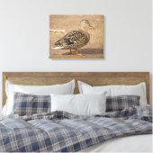 Mallard-Duck-Foto Leinwanddruck (Insitu (Schlafzimmer))
