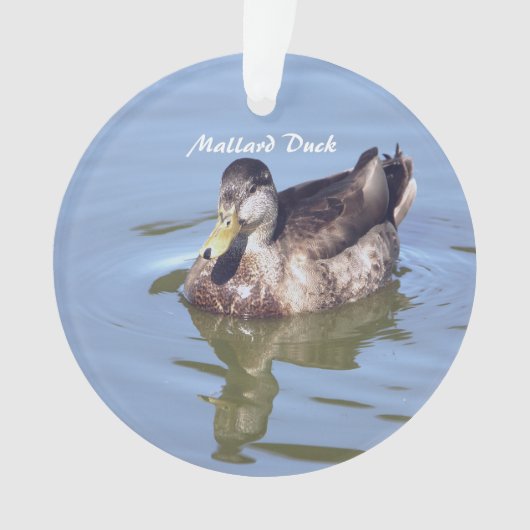 Mallard Duck Foto Ornament (Vorderseite)