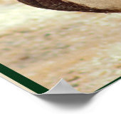 Mallard Duck Foto Poster (Ecke)