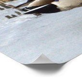 Mallard Duck Foto Poster (Ecke)