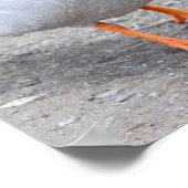 Mallard Duck Foto Poster (Ecke)