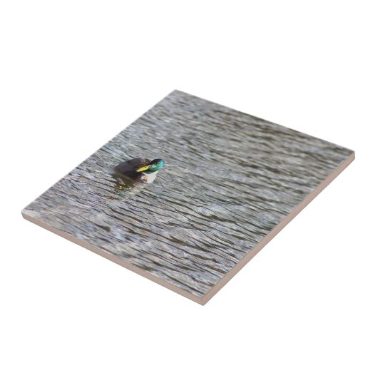 Mallard Duck Foto Tile Fliese (Seite)