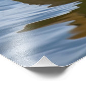 Mallard Duck Fotodruck (Ecke)