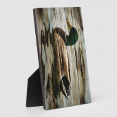 Mallard Duck Fotoplatte (Seite)