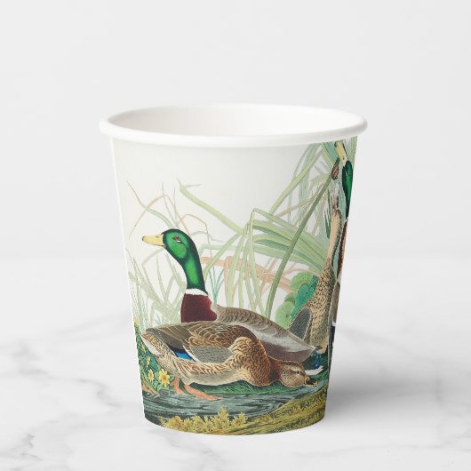 Mallard Duck from Birds of America (Audubon)  Pappbecher (Vorderseite)