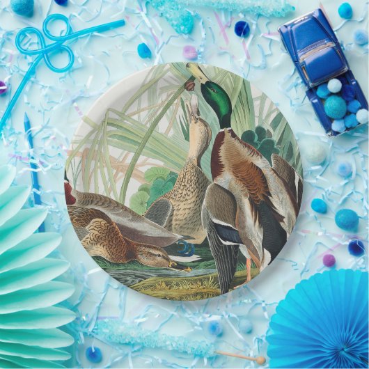 Mallard Duck from Birds of America (Audubon) Pappteller (Party)