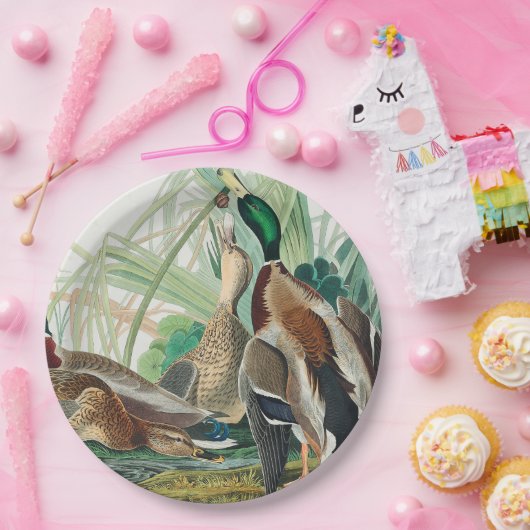 Mallard Duck from Birds of America (Audubon) Pappteller (Party)