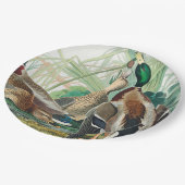 Mallard Duck from Birds of America (Audubon) Pappteller (Schrägansicht)