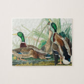 Mallard Duck from Birds of America (Audubon) Puzzle (Horizontal)