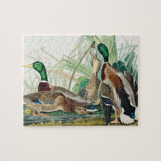 Mallard Duck from Birds of America (Audubon) Puzzle (Horizontal)