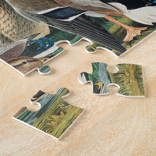 Mallard Duck from Birds of America (Audubon) Puzzle (Seite)