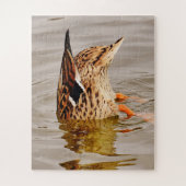 Mallard Duck Füttre unter Wasser Puzzle (Vertikal)