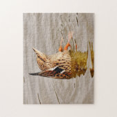 Mallard Duck Füttre unter Wasser Puzzle (Vertikal)