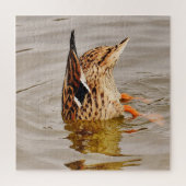 Mallard Duck Füttre unter Wasser Puzzle (Vertikal)