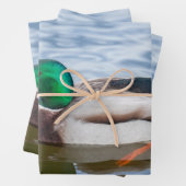 Mallard Duck Geschenkpapier Set (Beispiel)