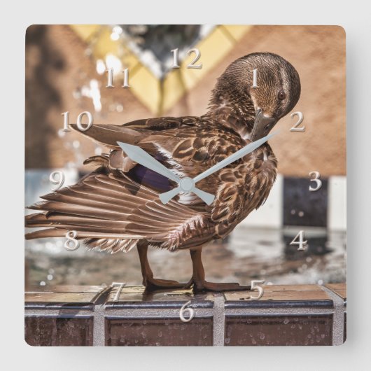 MALLARD DUCK GETAWAY RESORT WELLNESS-CENTER QUADRATISCHE WANDUHR (Vorderseite)