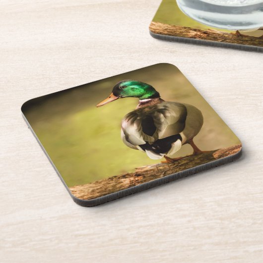 Mallard Duck Getränkeuntersetzer (Linke Seite)