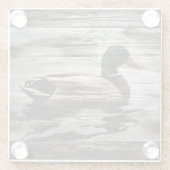 Mallard Duck Glasuntersetzer (Rückseite)