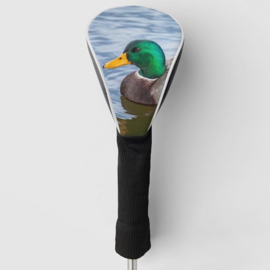 Mallard Duck Golf Headcover (Vorderseite)