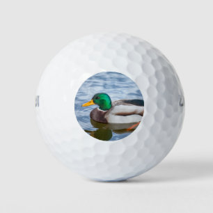 Mallard Duck Golfball