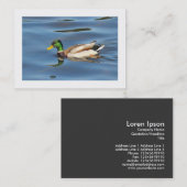 Mallard Duck (grenzt) Visitenkarte (Vorne/Hinten)