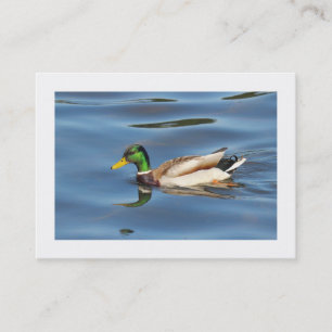 Mallard Duck (grenzt) Visitenkarte