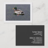 Mallard Duck (grenzt) Visitenkarte (Vorne/Hinten)