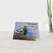 Mallard Duck Grußkarte Karte (Vorderseite)