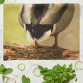 Mallard Duck Handtuch (Gefaltet)