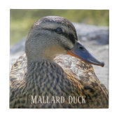 Mallard Duck Hen Foto Keramik Tile Fliese (Vorderseite)
