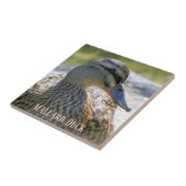 Mallard Duck Hen Foto Keramik Tile Fliese (Seite)