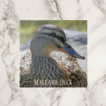 Mallard Duck Hen Foto Keramik Tile Fliese<br><div class="desc">Die naturbelassene Keramik mit dem Foto einer Mallard Ente. Wählen Sie Ihre Kachelgröße aus. Eine tolle Küche trivet!</div>