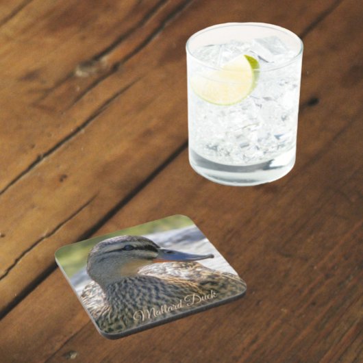 Mallard Duck Hen Nature Foto Getränkeuntersetzer