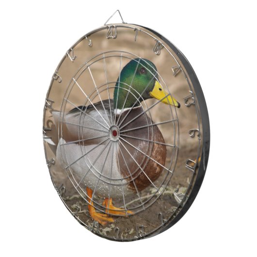 Mallard Duck Hunting Dart Board Dartscheibe (Vorderseite rechts)