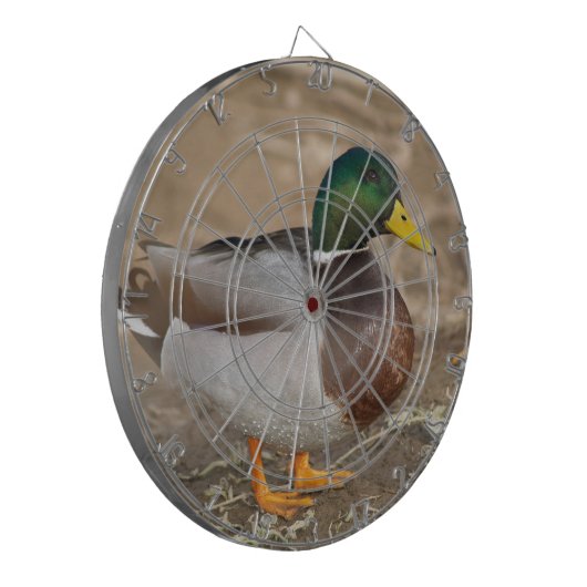 Mallard Duck Hunting Dart Board Dartscheibe (Vorderseite Links)