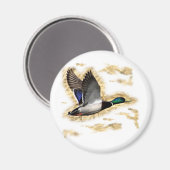 Mallard Duck Hunting Magnet (Vorderseite/Rückseite)