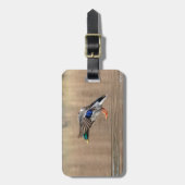 Mallard Duck im Flug Gepäckanhänger (Vorderseite vertikal)