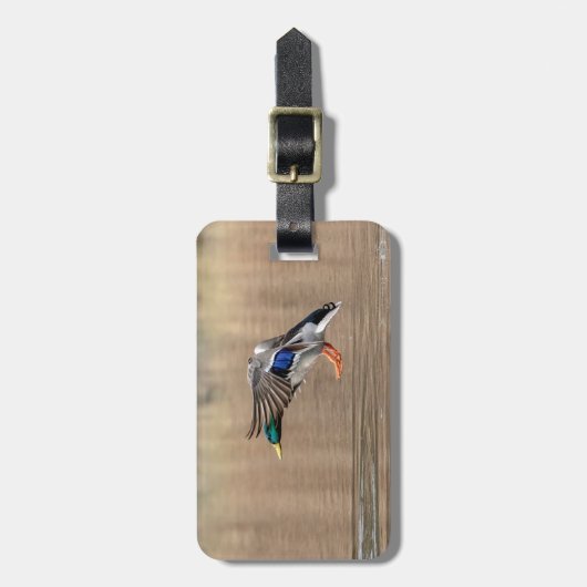 Mallard Duck im Flug Gepäckanhänger (Vorderseite vertikal)