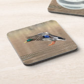 Mallard Duck im Flug Getränkeuntersetzer (Linke Seite)