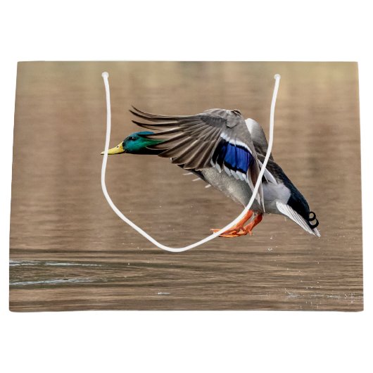 Mallard Duck im Flug Große Geschenktüte (Vorderseite)
