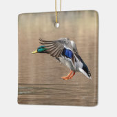 Mallard Duck im Flug Keramikornament (Links)