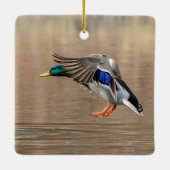 Mallard Duck im Flug Keramikornament (Rückseite)
