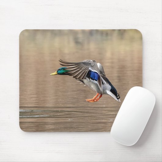 Mallard Duck im Flug Mousepad (Mit Mouse)
