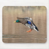 Mallard Duck im Flug Mousepad (Vorne)