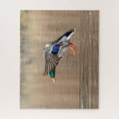 Mallard Duck im Flug Puzzle (Vertikal)
