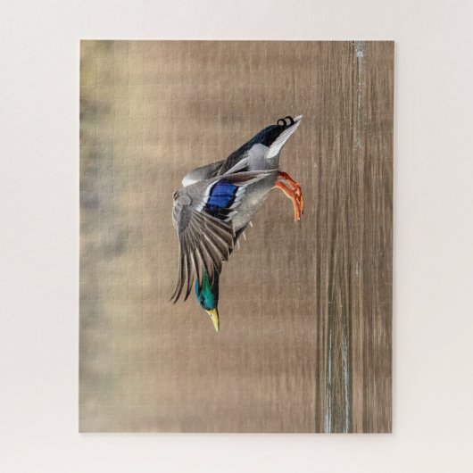 Mallard Duck im Flug Puzzle (Vertikal)